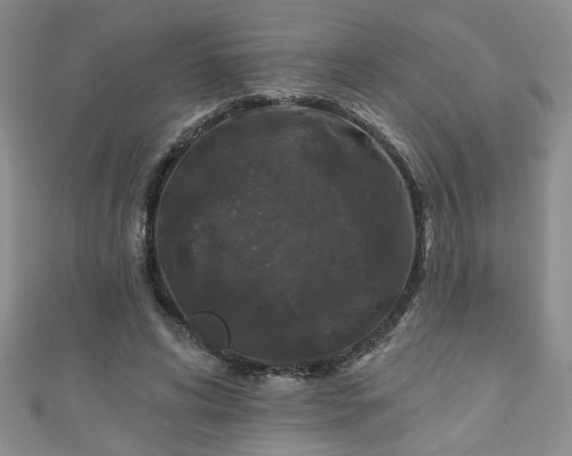 X0000110940592200906261302