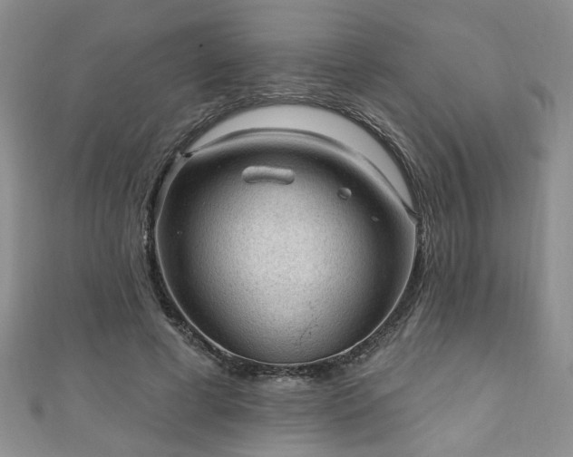 X0000110940593200906261302