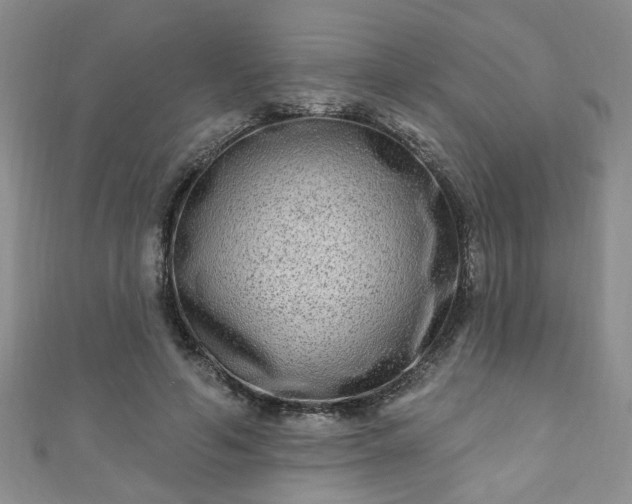 X0000110940594200906261302