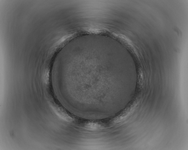 X0000110940596200906261302