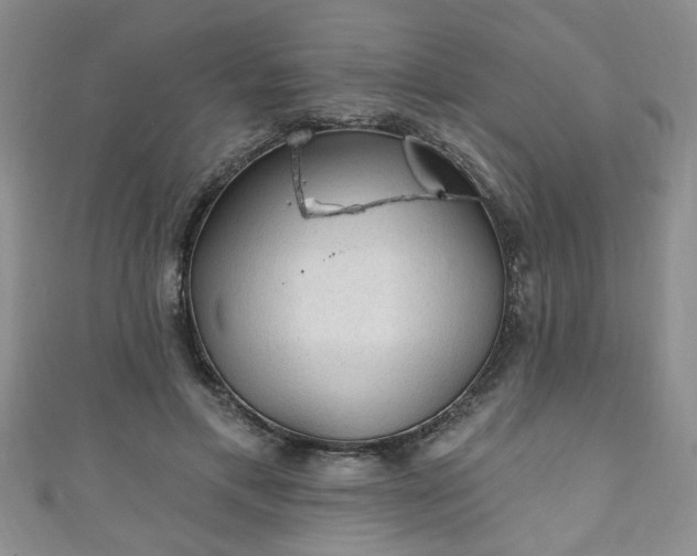 X0000110940597200906261302