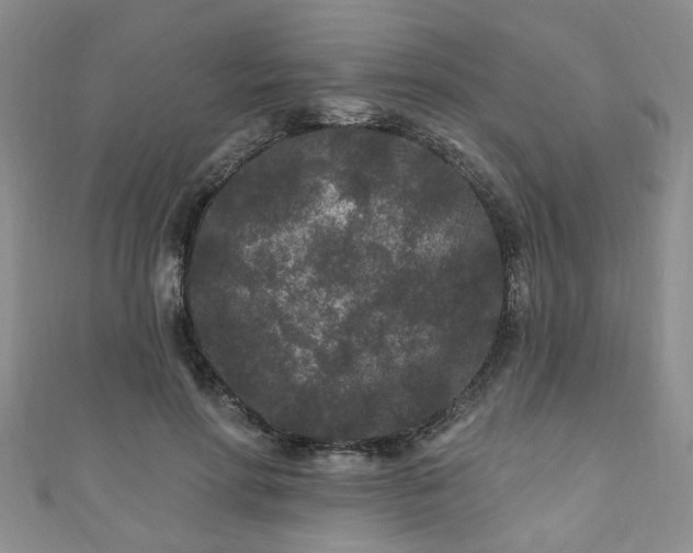 X0000110940598200906261302