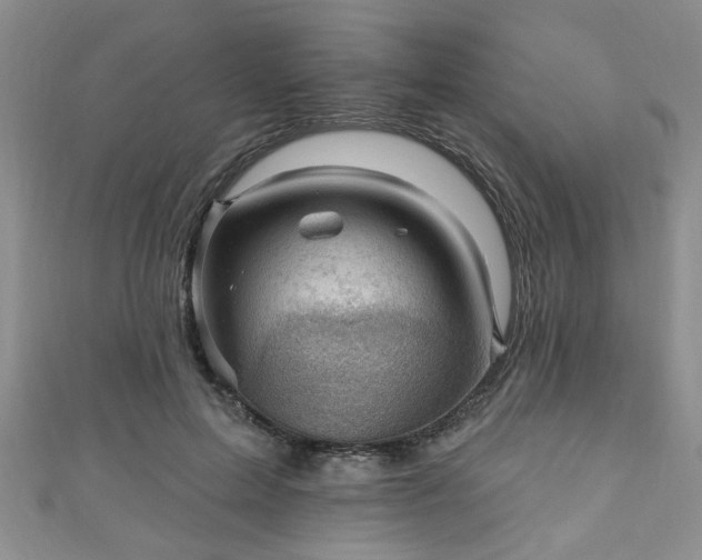 X0000110940599200906261302