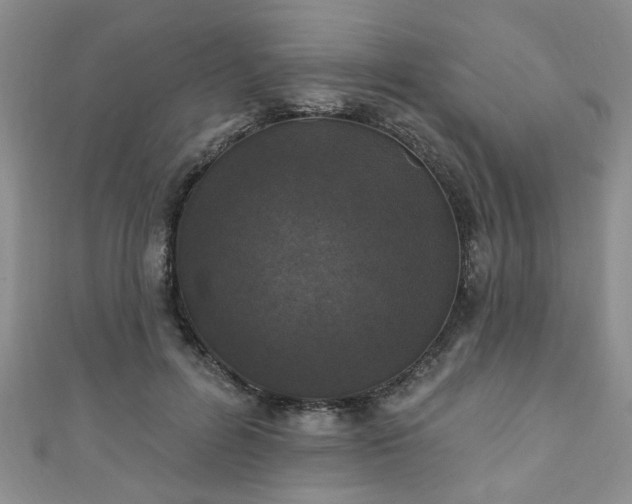 X0000110940600200906261302