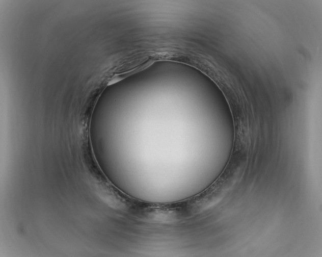 X0000110940601200906261302