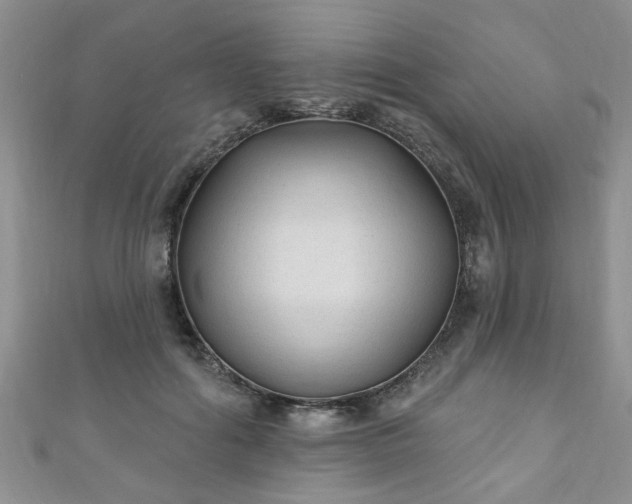 X0000110940602200906261302