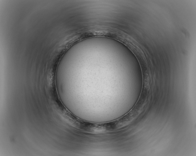 X0000110940604200906261302