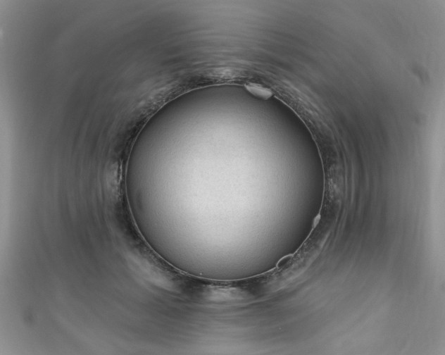 X0000110940605200906261302