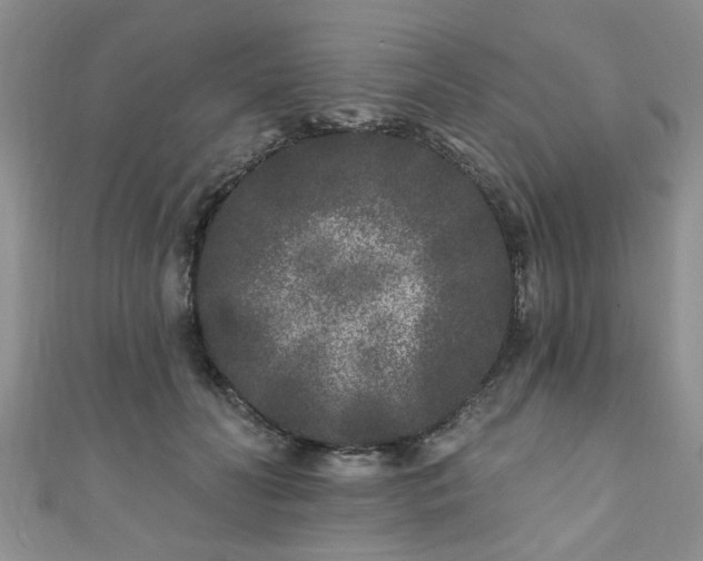 X0000110940606200906261302