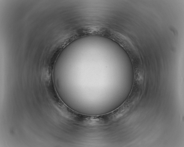 X0000110940607200906261302