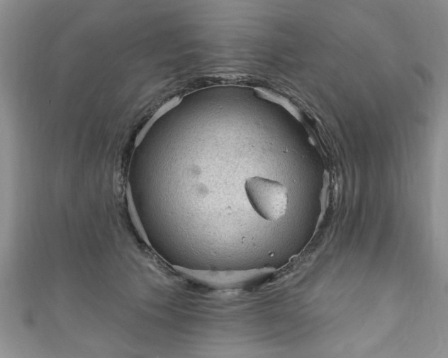 X0000110940609200906261302