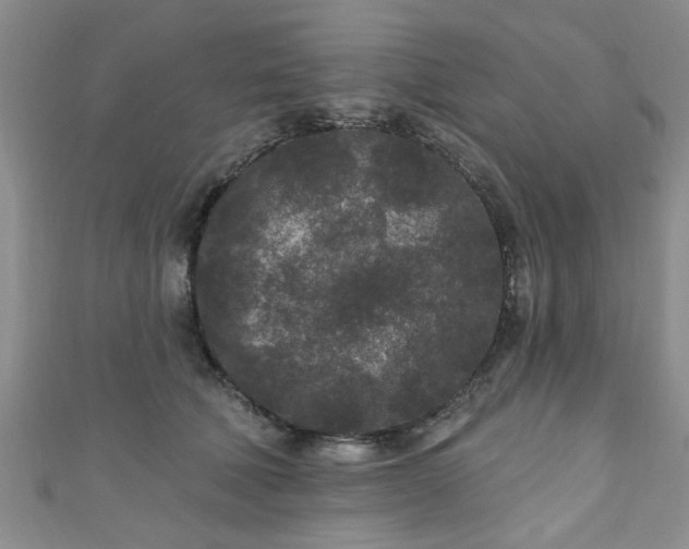 X0000110940610200906261302