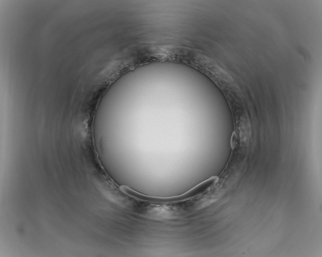 X0000110940611200906261302