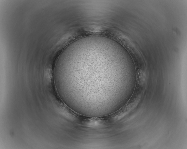 X0000110940612200906261302