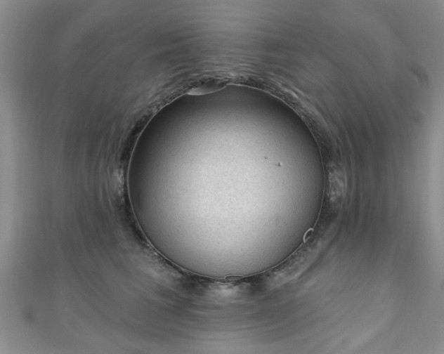 X0000110940613200906261302