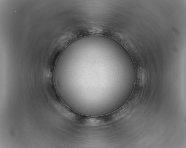 X0000110940614200906261302