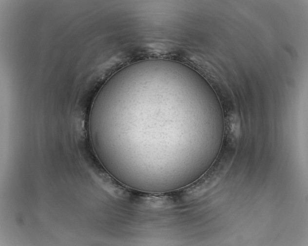 X0000110940615200906261302