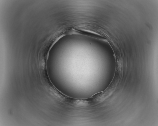 X0000110940617200906261302