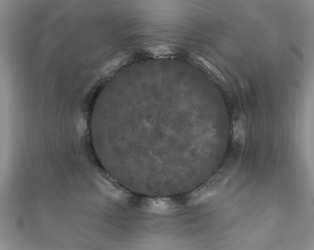 X0000110940618200906261302