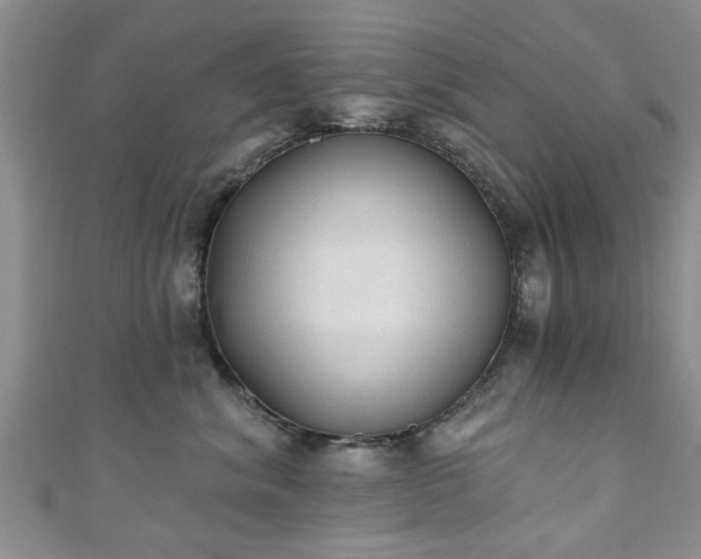 X0000110940620200906261302