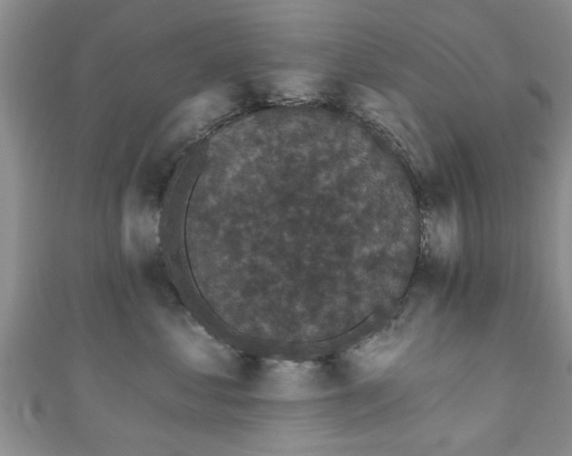 X0000110940621200906261302