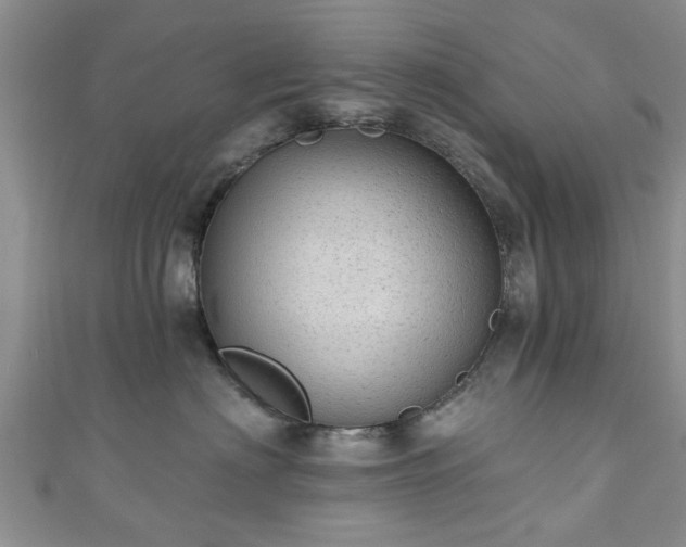 X0000110940622200906261302