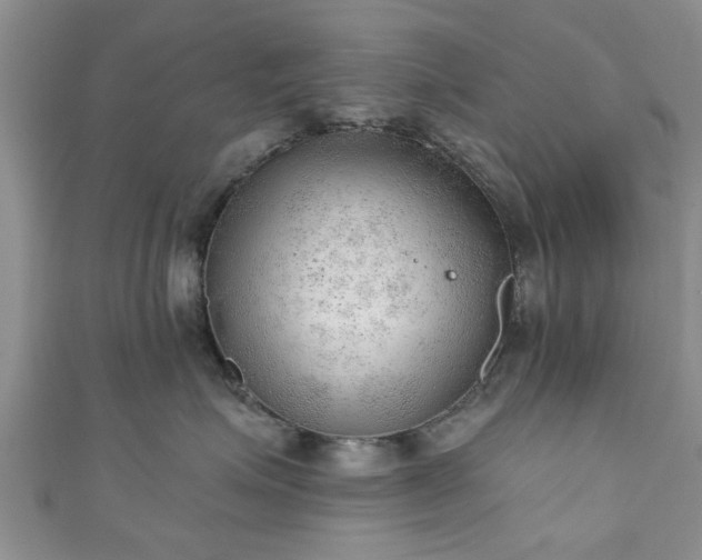 X0000110940623200906261302