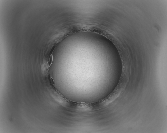 X0000110940624200906261302