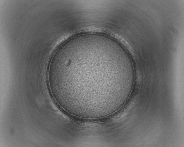 X0000110940625200906261301