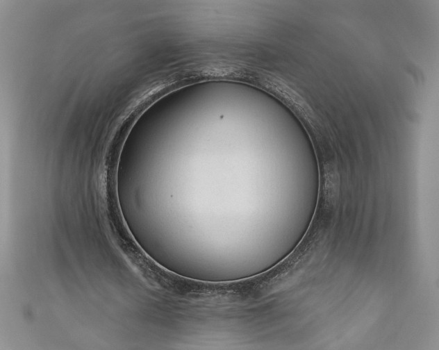 X0000110940626200906261301