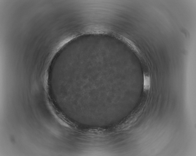 X0000110940627200906261301