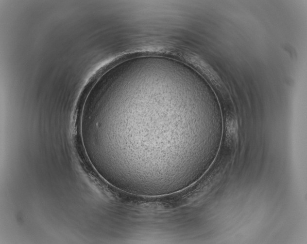 X0000110940628200906261301