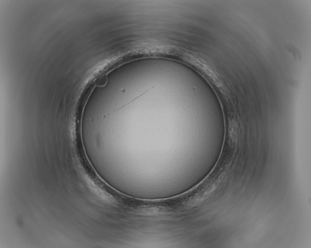 X0000110940629200906261301