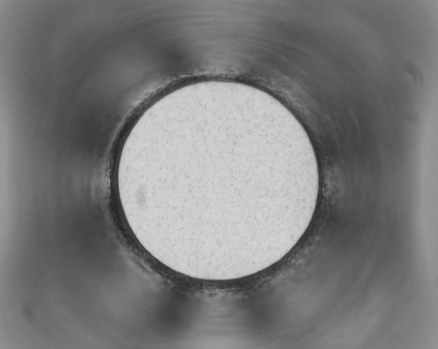 X0000110940632200906261301