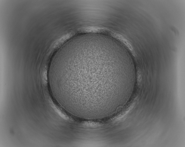 X0000110940633200906261301