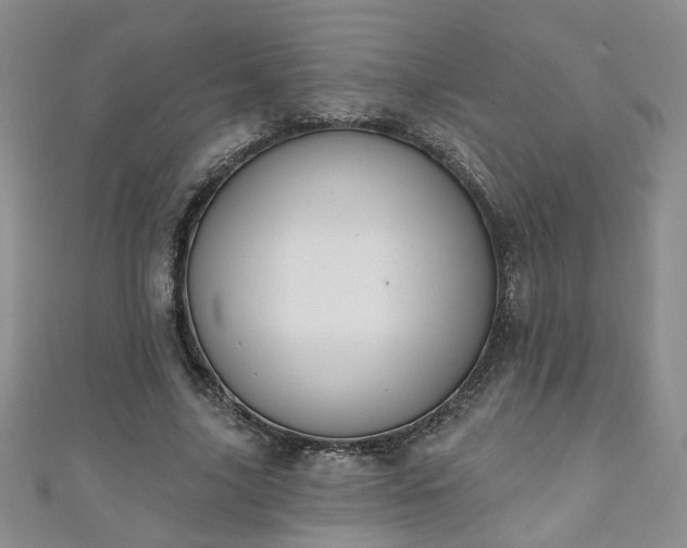 X0000110940635200906261301