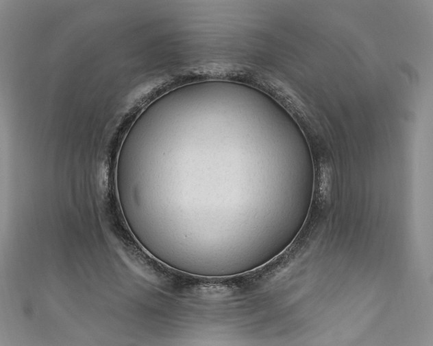 X0000110940636200906261301