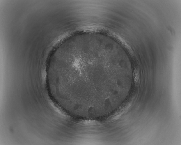 X0000110940637200906261301