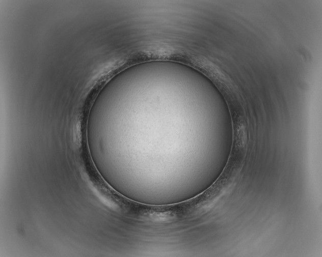 X0000110940638200906261301