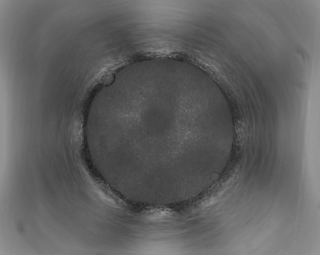 X0000110940642200906261301