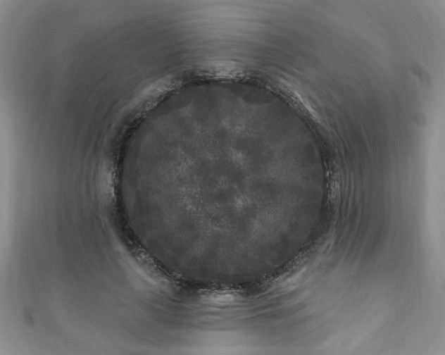 X0000110940643200906261301