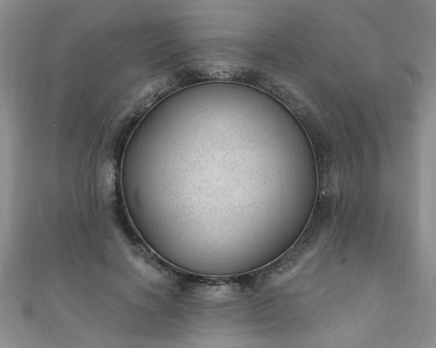 X0000110940646200906261301