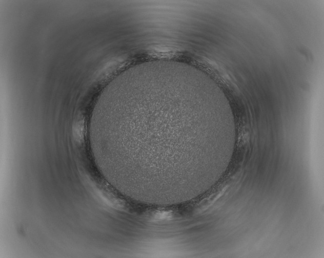 X0000110940647200906261301