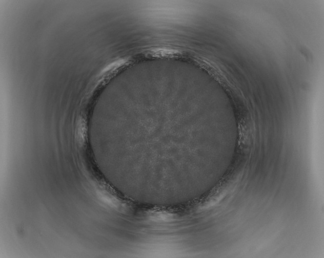 X0000110940648200906261301