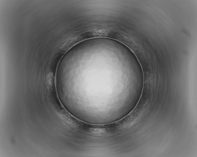 X0000110940649200906261301