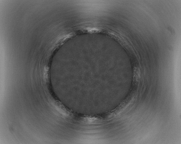 X0000110940650200906261301