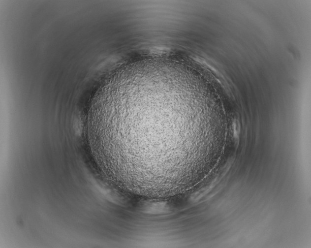 X0000110940651200906261301