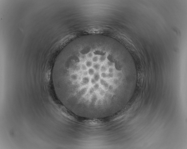 X0000110940652200906261301