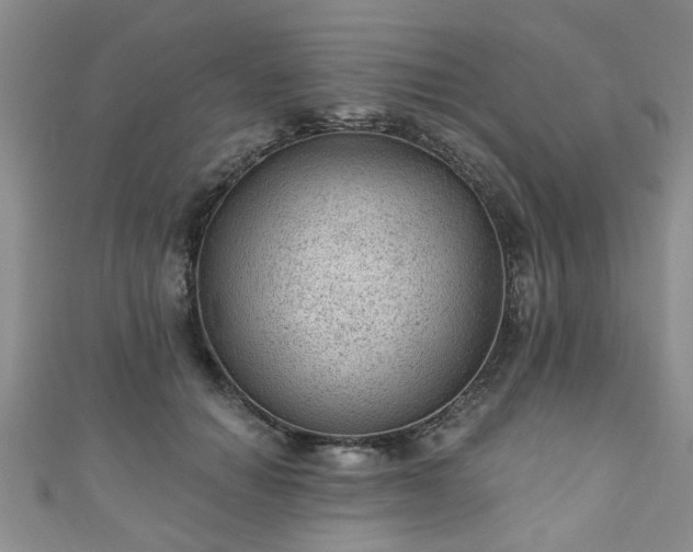 X0000110940654200906261301