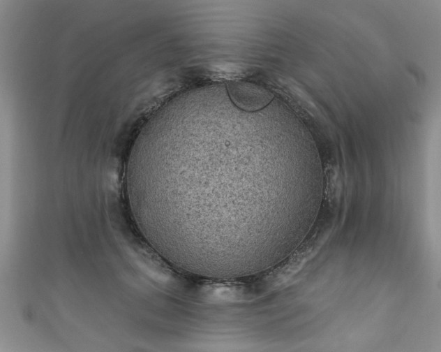 X0000110940655200906261302